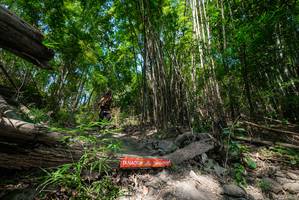 BIB: 
                            <button type="button" onclick="openModal(19394125)" class="btn btn-primary btn-sm float-right btn-popup" data-toggle="modal" data-target=".modal-high-quality">
                        <i class="fas fa-shopping-cart"></i> Add to Cart
                    </button>
                                            <button type="button" onclick="isThisMe(19394125, true)" class="btn btn-success btn-sm float-right btn-popup btn-isme hidden" data-toggle="tooltip" data-placement="bottom" title="นี่คือรูปของคุณใช่ไหม คลิกที่นี่เพื่อเอาเข้าอัลบั้ม">
                        <i class="fas fa-plus"></i> Add to album
                    </button>
                    <button type="button" onclick="isThisMe(19394125, false)" class="btn btn-warning btn-sm float-right btn-popup btn-isnotme hidden">
                        <i class="fas fa-ban"></i> Remove from album
                    </button>